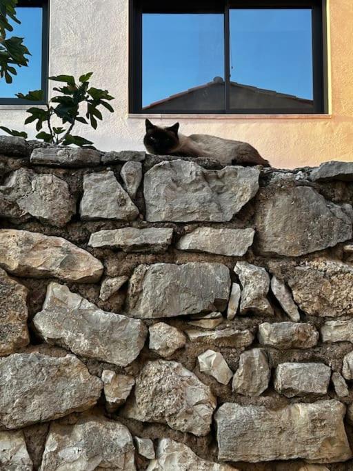 Rural Stone House With Wood Fireplace Pinell de Bray